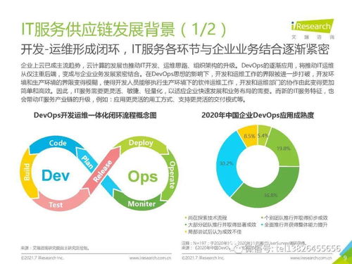 2021年中國IT服務供應鏈數字化升級研究報告 網絡技術服務領域深度解析